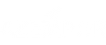AZEMPOR – Início